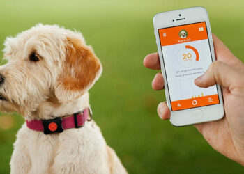 Smart Pet Tech: Revolutionizing Animal Companionship