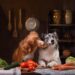 Sustainable Pet Food: A Greener Bowl for Paws