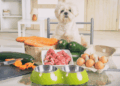 Personalized Pet Diets: Tailored Nutrition for Paws