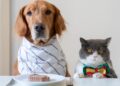 Future Pet Nutrition: Beyond Just Food Bowls