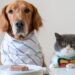 Future Pet Nutrition: Beyond Just Food Bowls