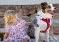 Pet Fitness Trackers: Monitoring Your Pet’s Health