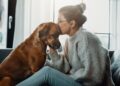 Pet Loss Support: Healty Coping Strategies