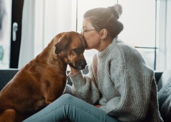 Pet Loss Support: Healty Coping Strategies