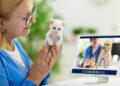 Virtual Vet Services: The Telemedicine Revolution