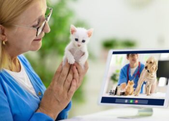 Virtual Vet Services: The Telemedicine Revolution