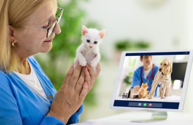 Virtual Vet Services: The Telemedicine Revolution