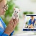 Virtual Vet Services: The Telemedicine Revolution