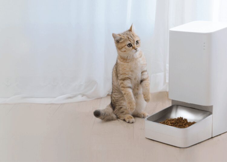 The Ultimate Smart Pet Feeder Guide